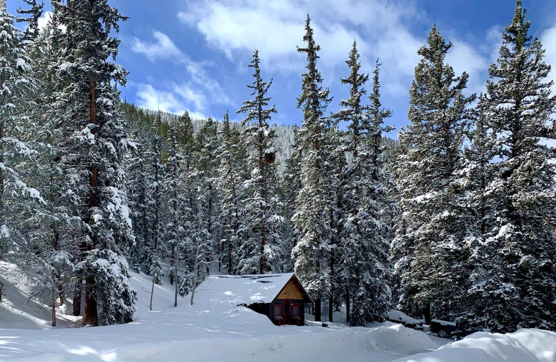 Pioneer Guest Cabins photo 5