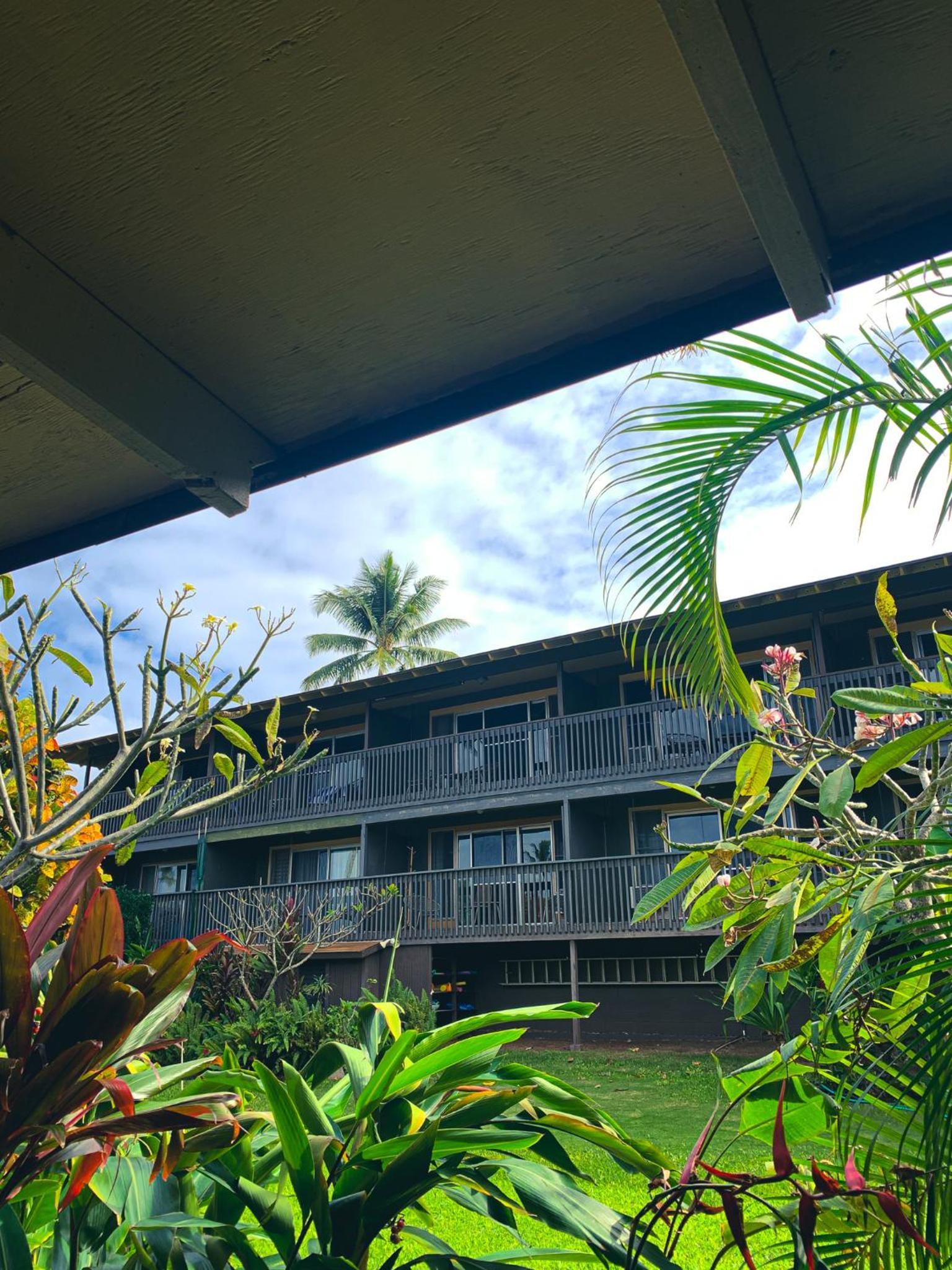 Napili Village Hotel photo 38