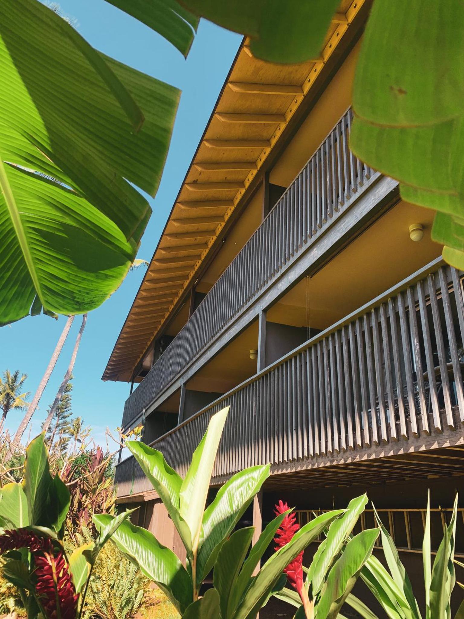 Napili Village Hotel photo 37