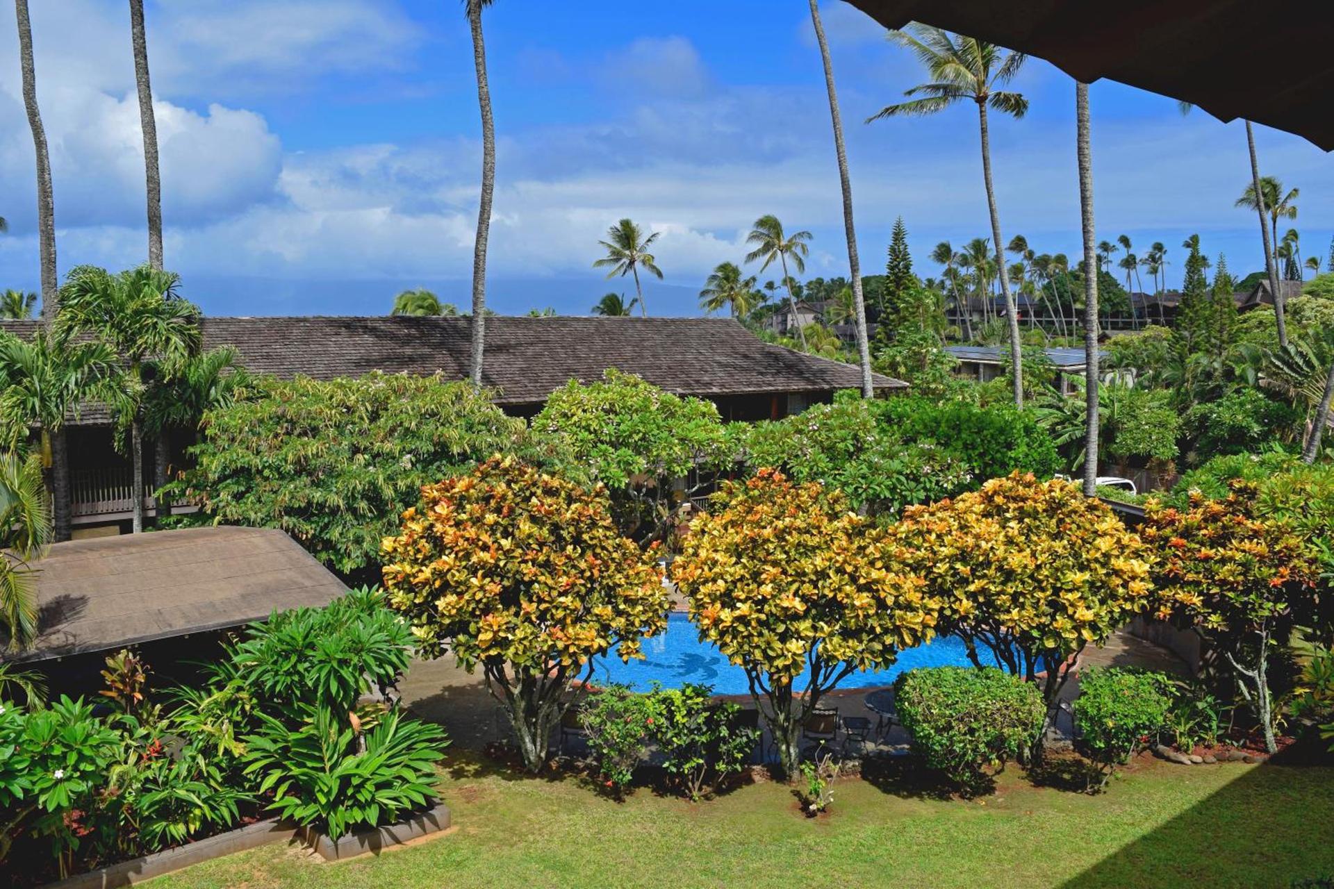 Napili Village Hotel photo 13