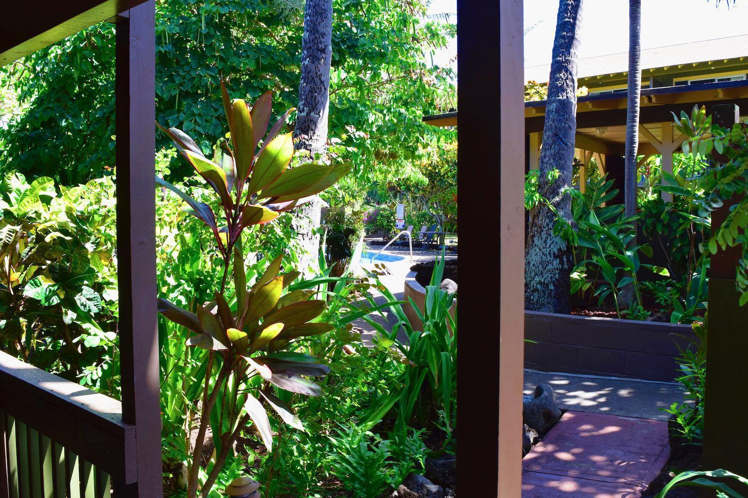 Napili Village Hotel photo 25
