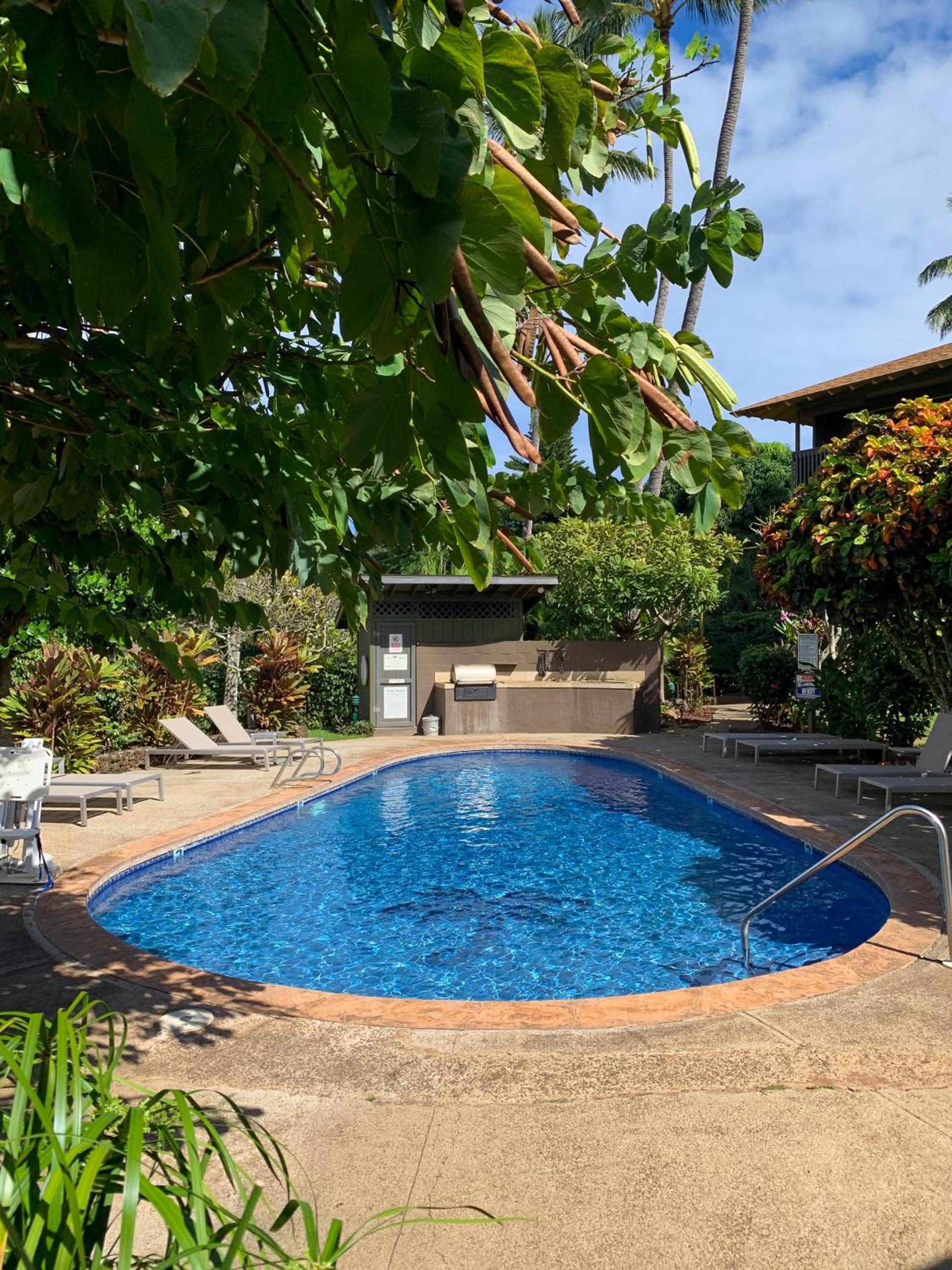 Napili Village Hotel photo 31