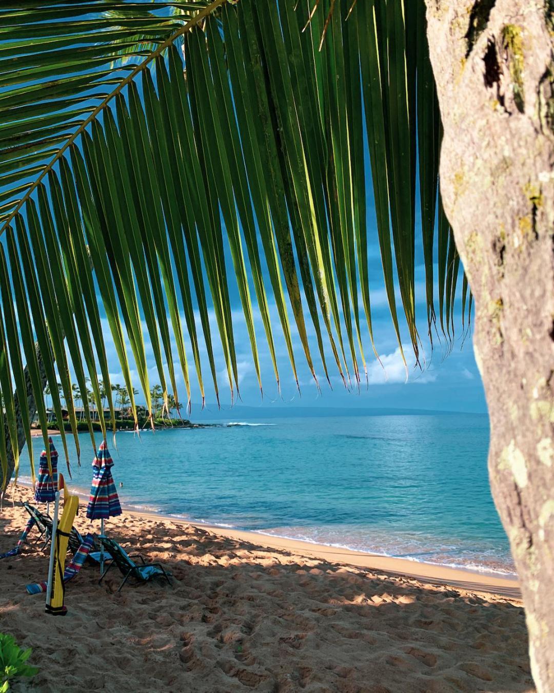 Napili Village Hotel photo 41