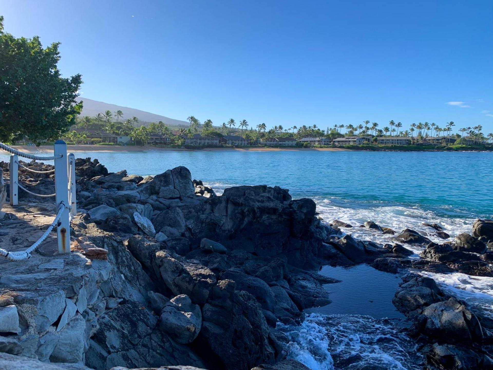 Napili Village Hotel photo 42