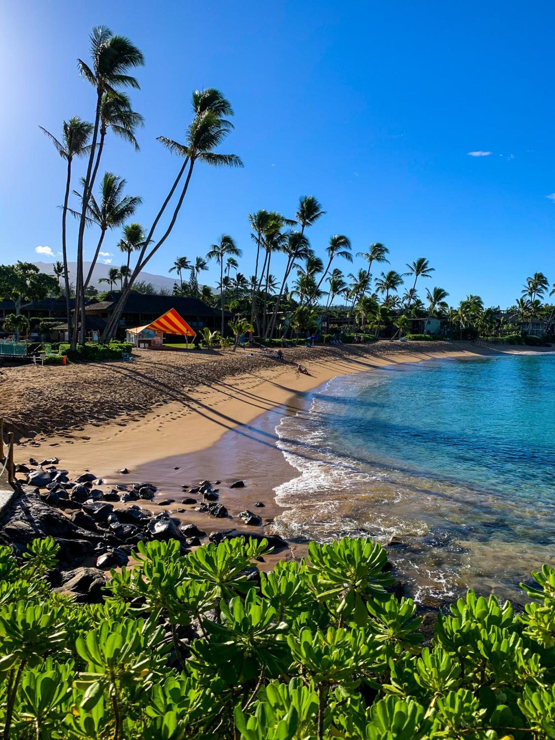 Napili Village Hotel photo 40