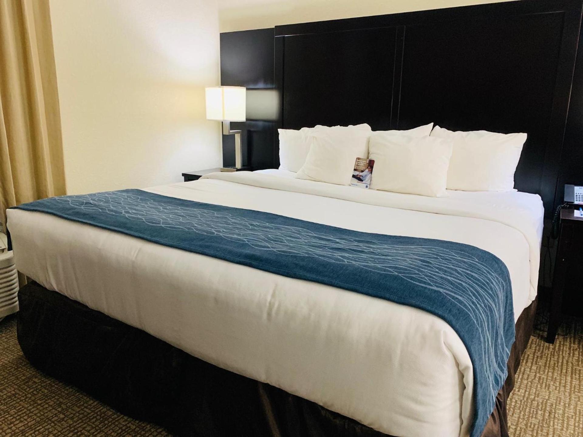 Comfort Inn & Suites Atlanta-Smyrna photo 41