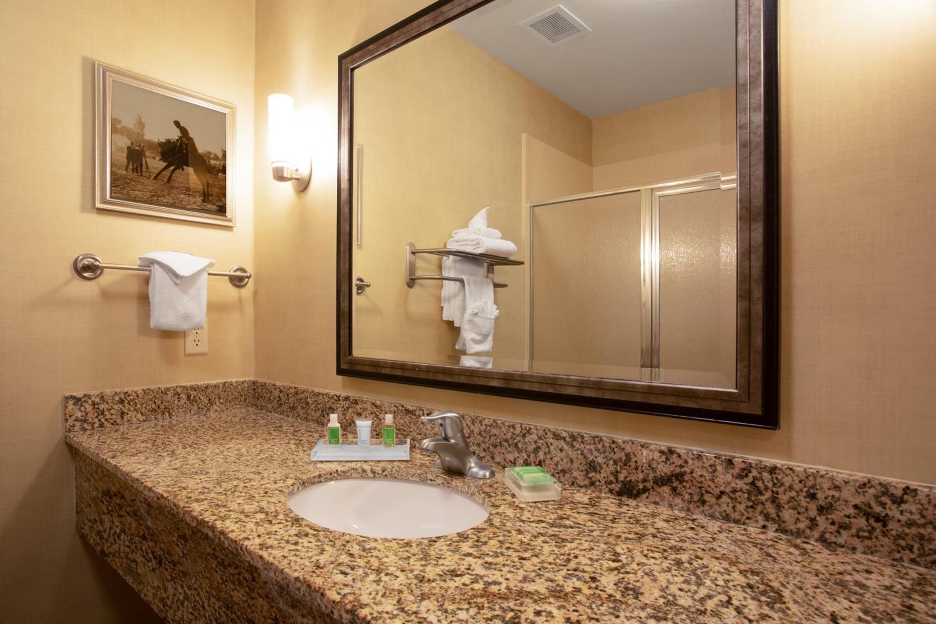 Holiday Inn Laramie by IHG photo 13
