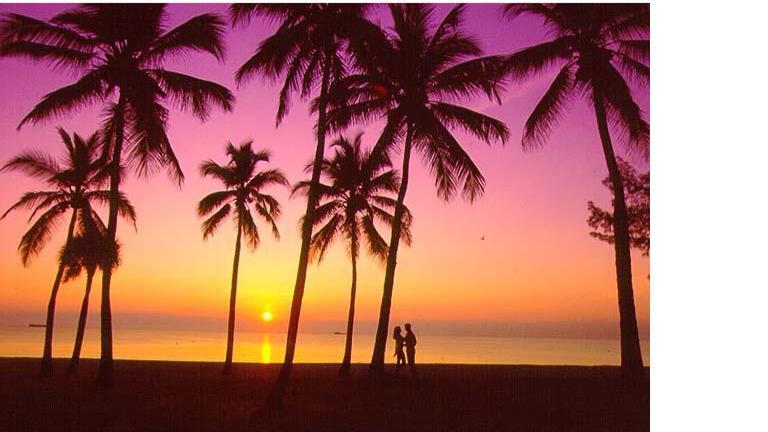 Ft Lauderdale Beach resort photo 8