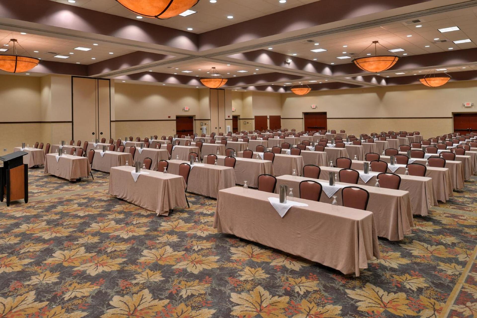 Holiday Inn Stevens Point - Convention Center by IHG photo 53