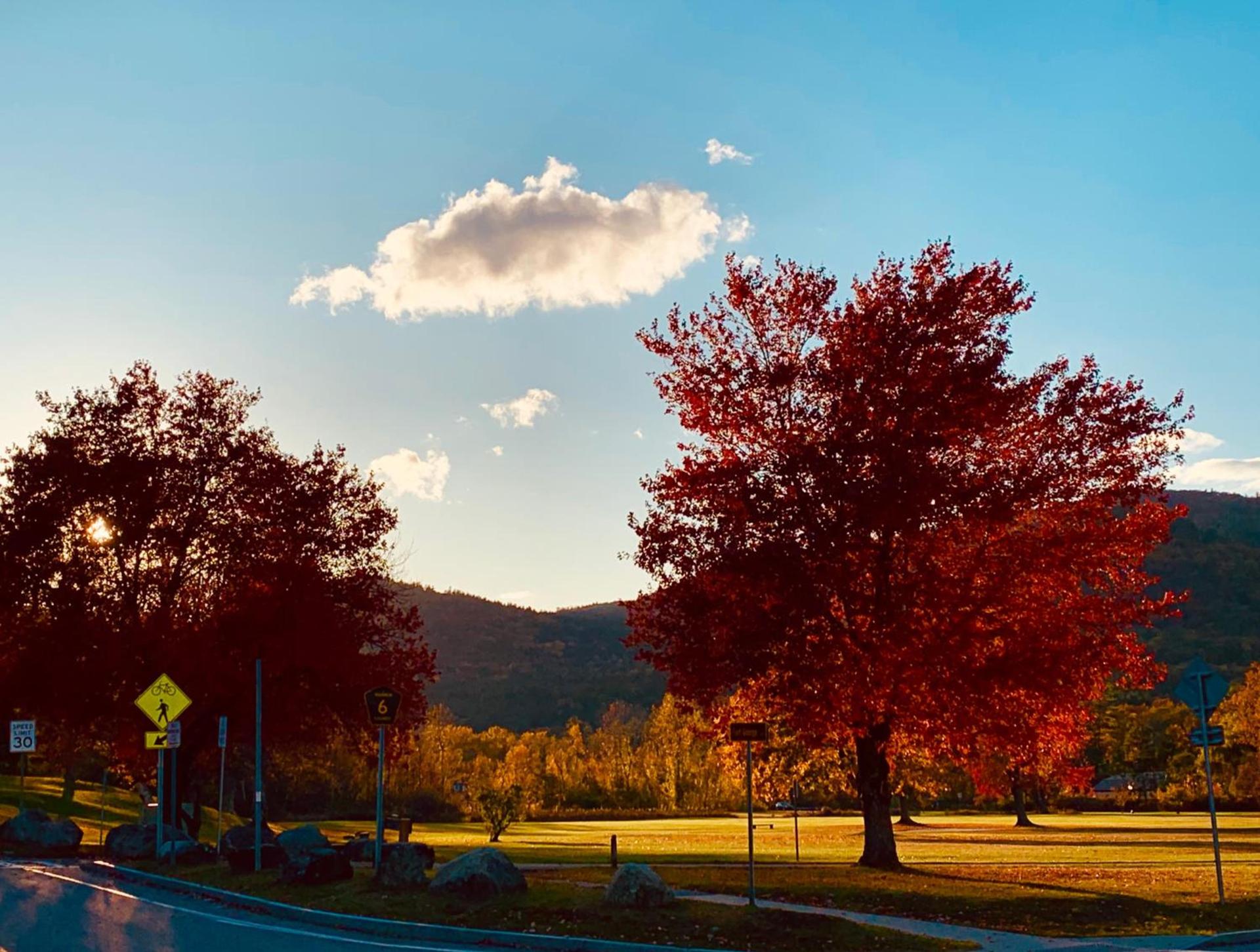 The Sundowner on Lake George photo 52