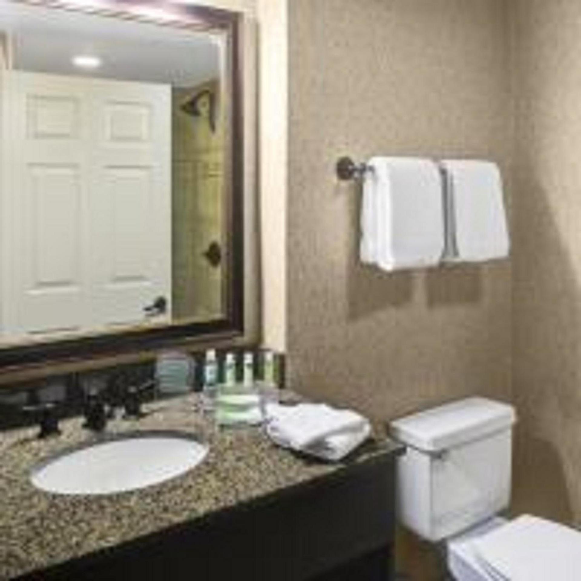 Holiday Inn Express Hotel & Suites Atlanta Buckhead by IHG photo 6