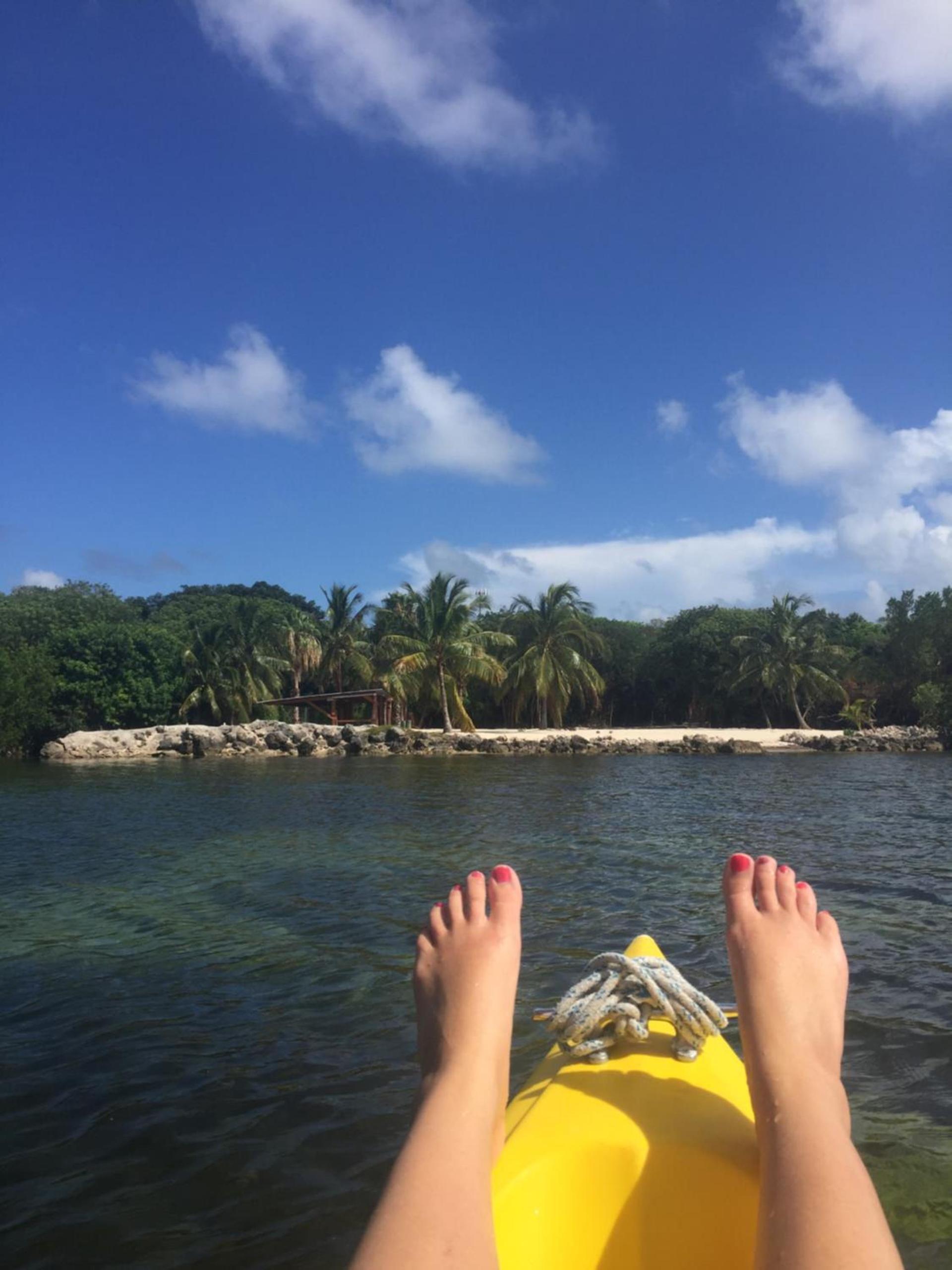 Key Largo Cottages photo 71