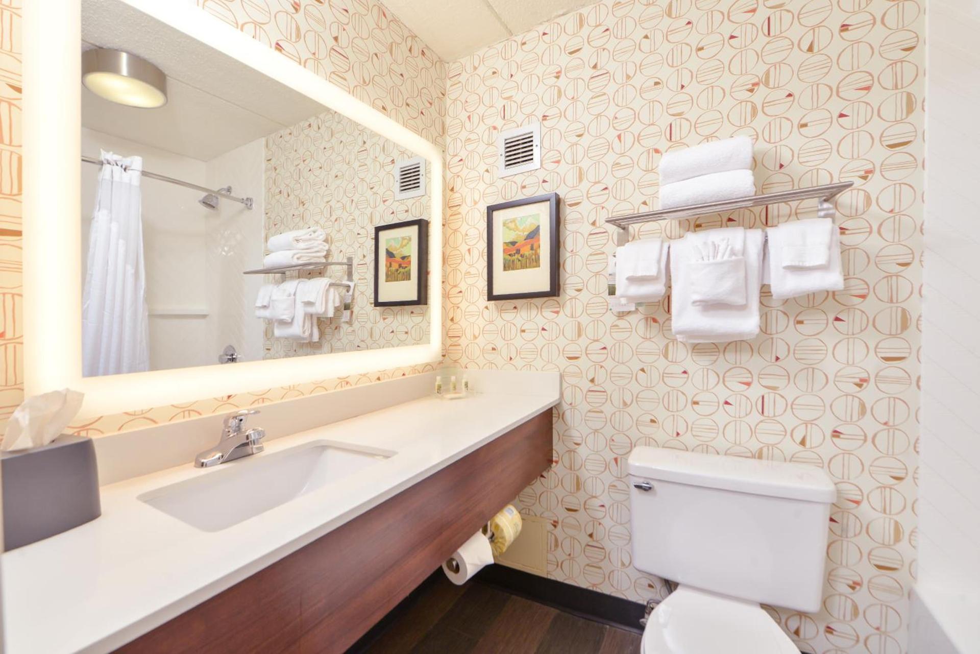 Holiday Inn Auburn-Finger Lakes Region by IHG photo 4