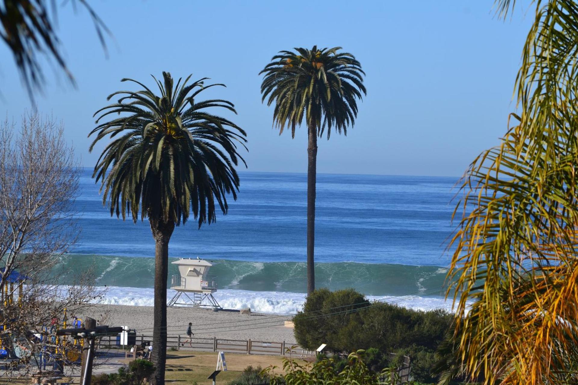 Moonlight Beach Motel photo 65
