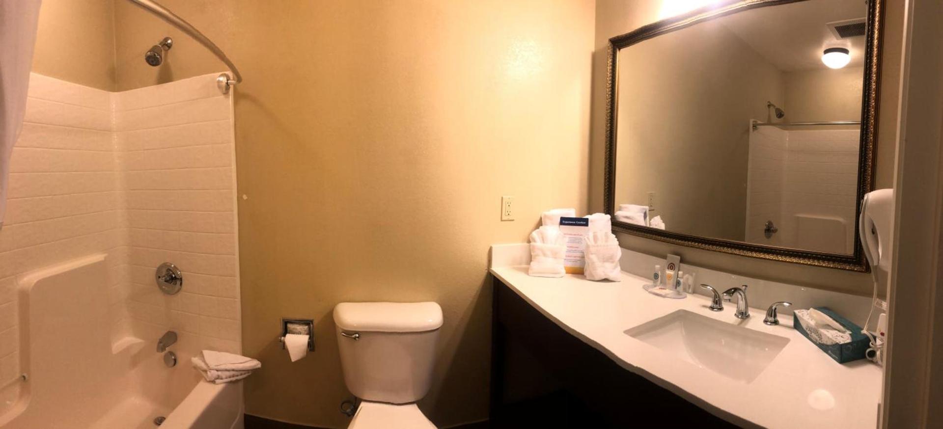 Comfort Inn & Suites Ukiah Mendocino County photo 60
