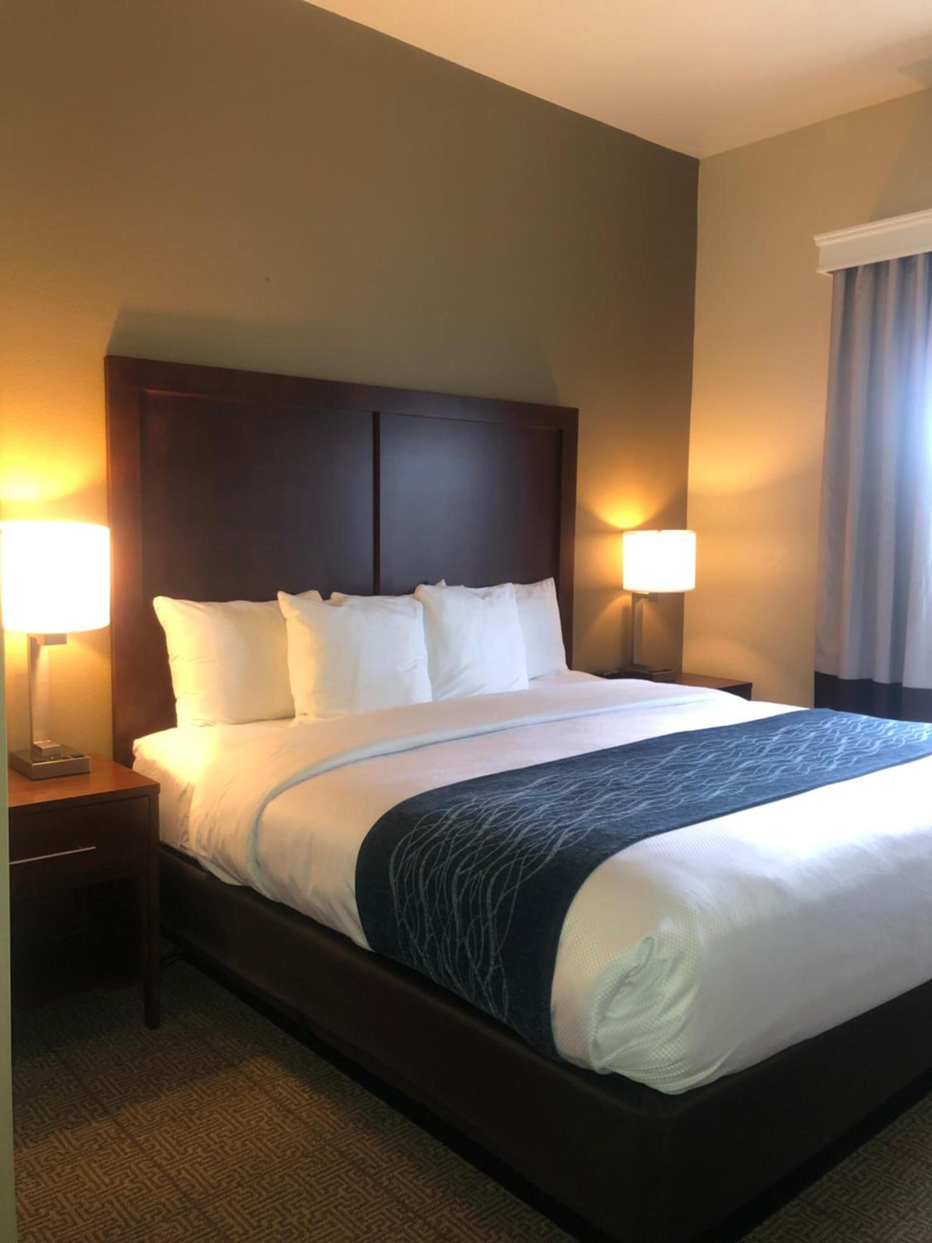 Comfort Inn & Suites Ukiah Mendocino County photo 45