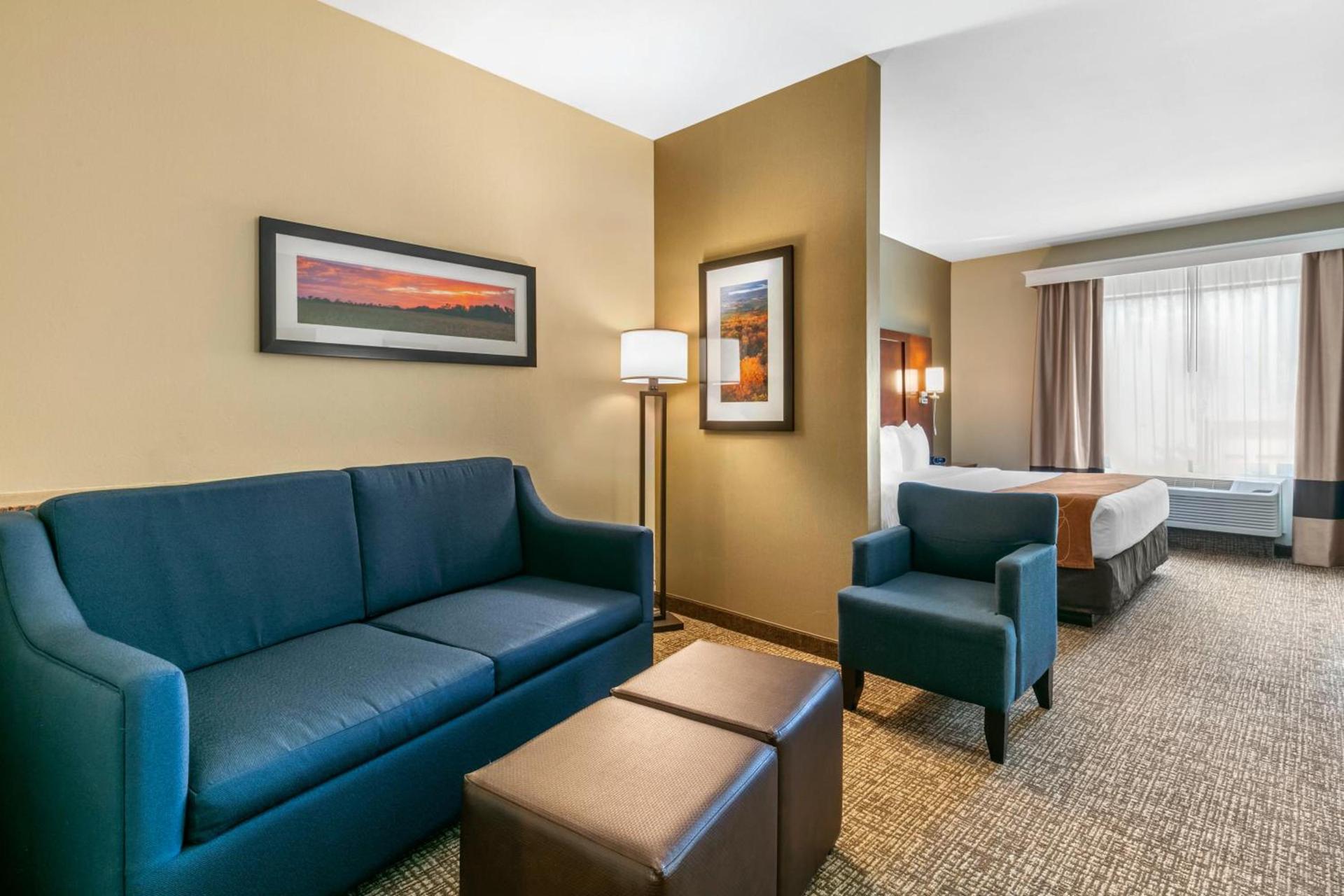 Comfort Suites Forrest City photo 46