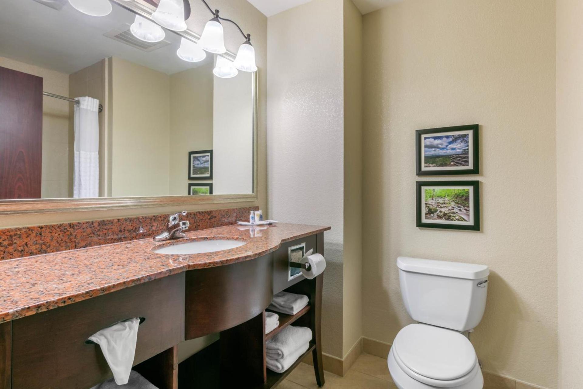 Comfort Suites Forrest City photo 44
