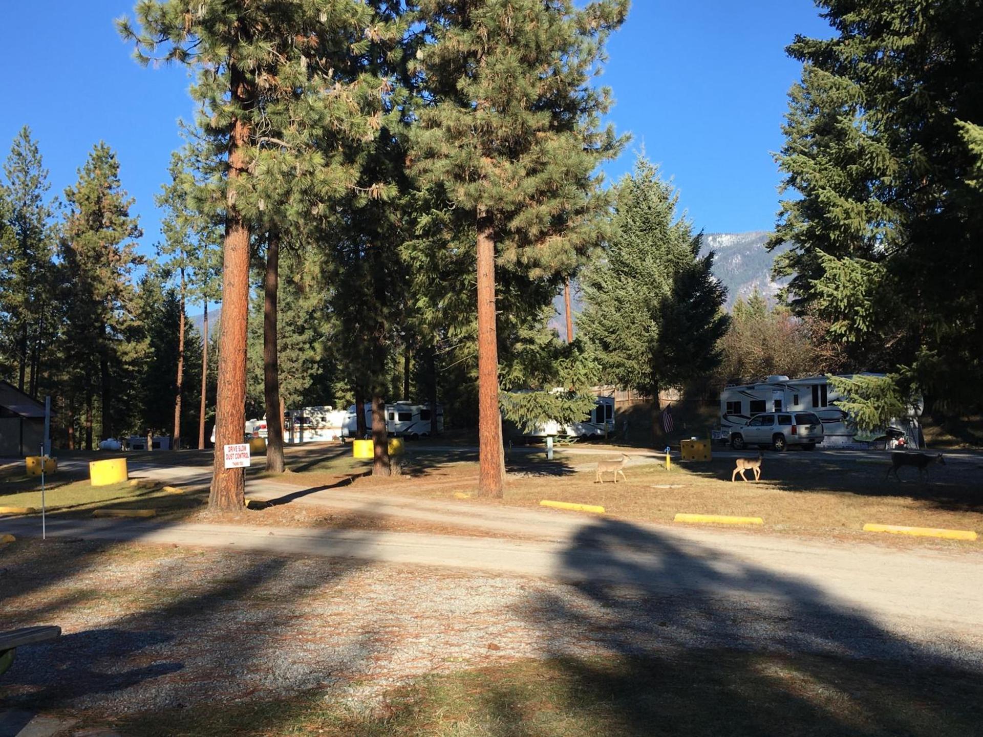 Rimrock Lodge LLC photo 5