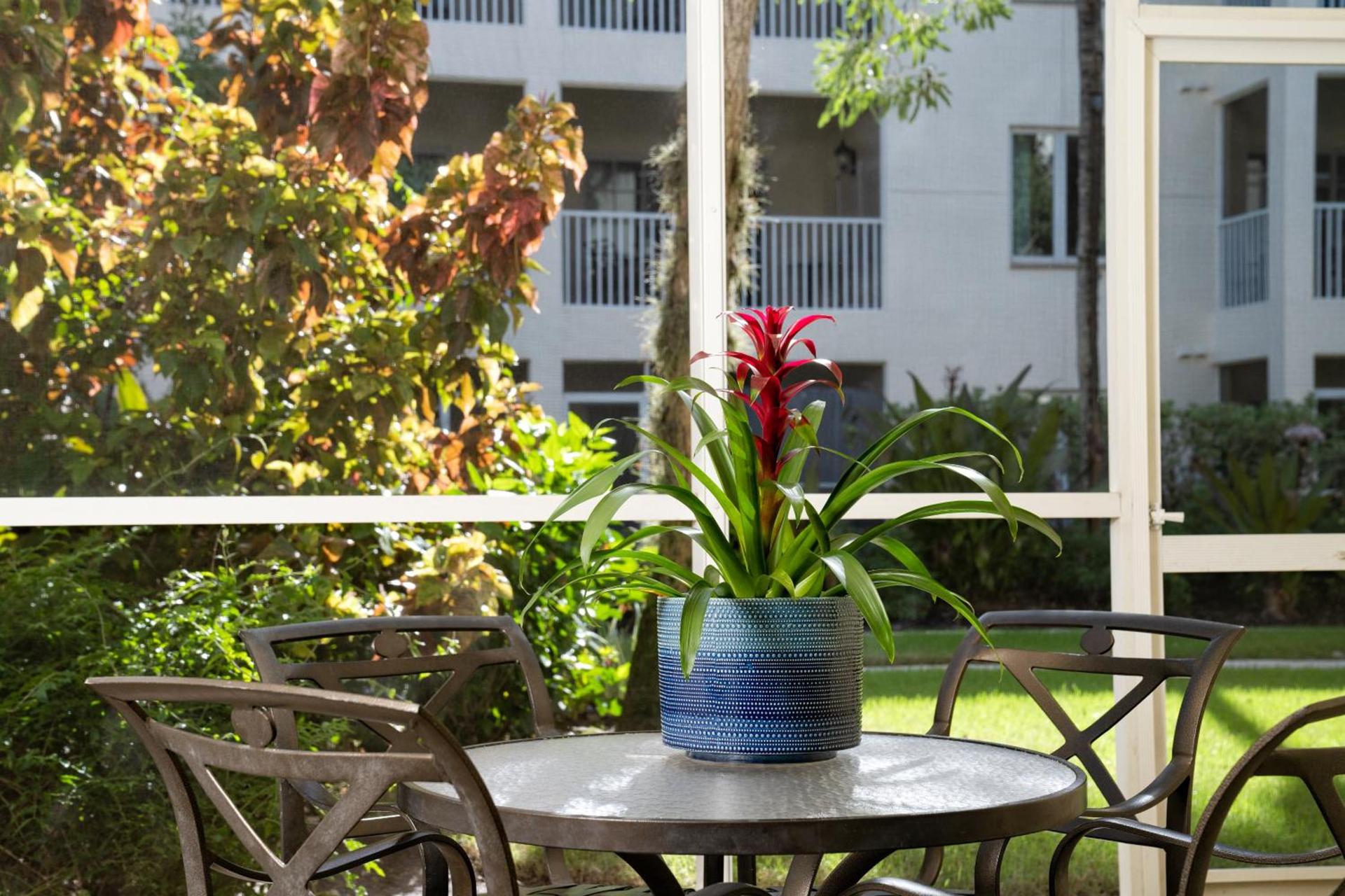 Bellasera Resort photo 7
