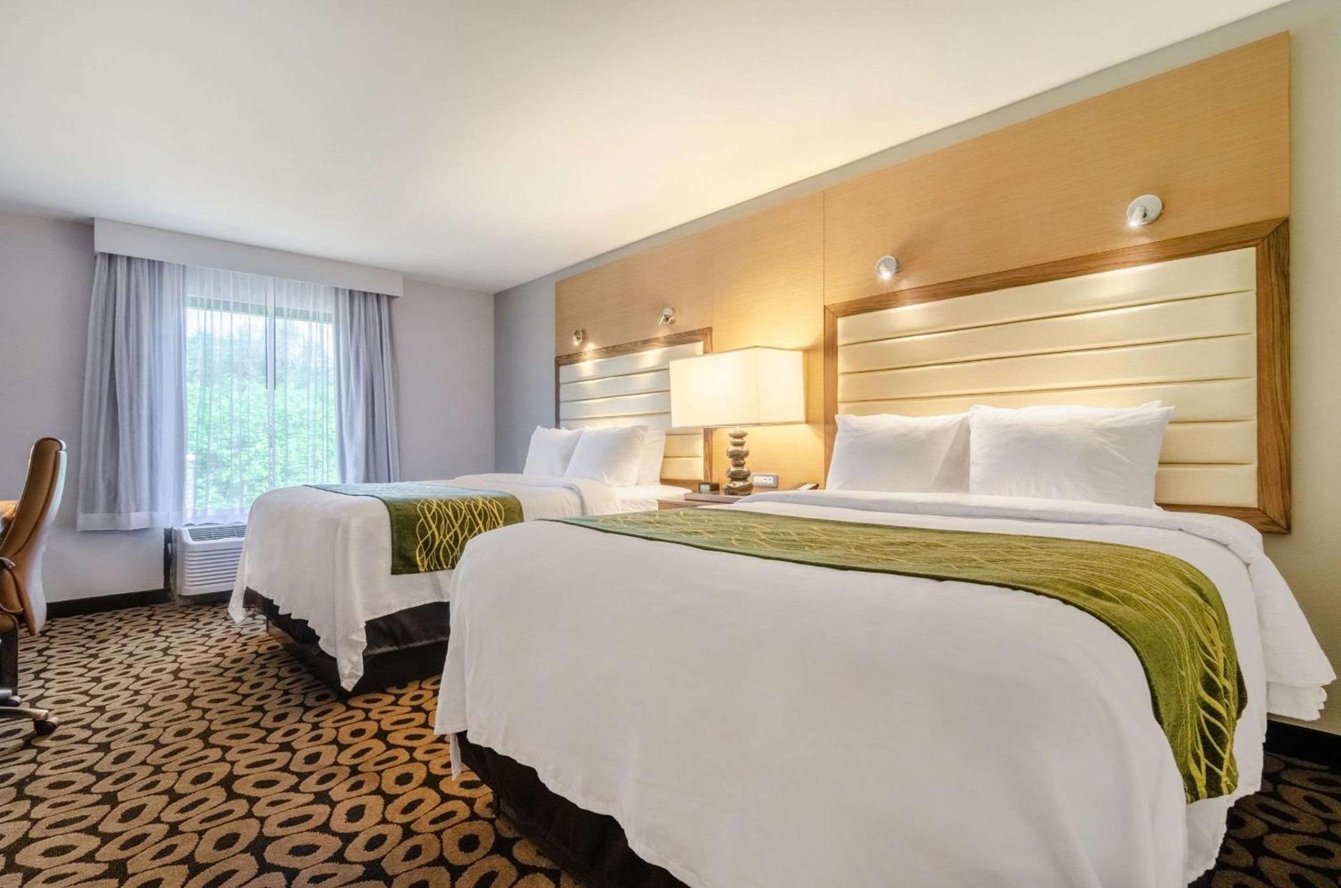 Comfort Inn Raleigh Midtown photo 10
