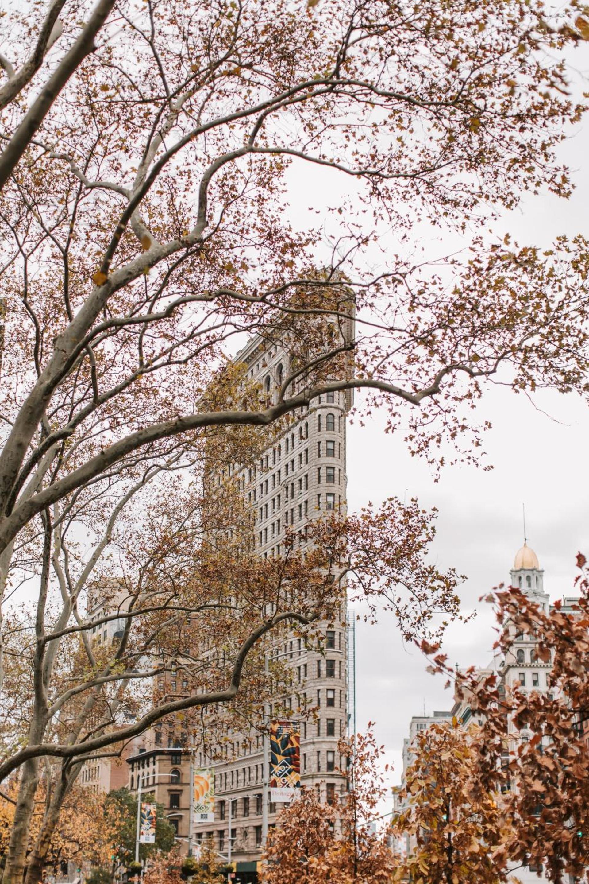 Hyatt Place New York Chelsea photo 90