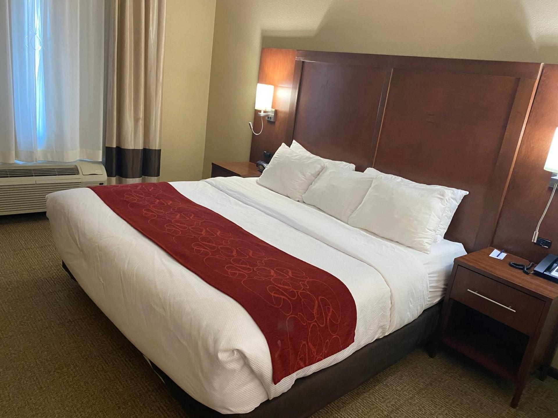 Comfort Suites West Omaha photo 11