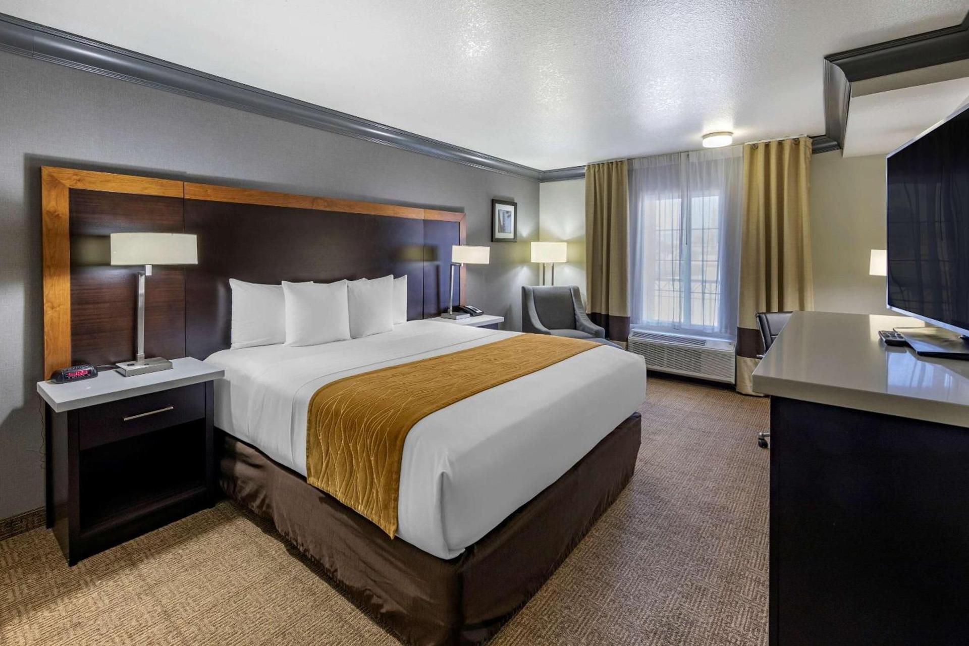 Comfort Inn & Suites Near Universal - N Hollywood - Burbank photo 5