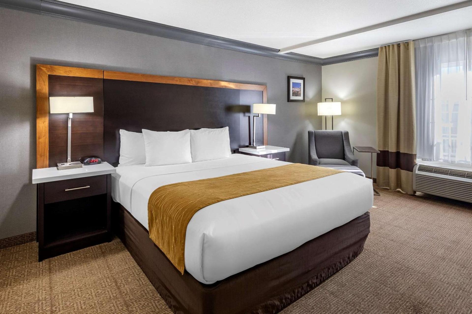 Comfort Inn & Suites Near Universal - N Hollywood - Burbank photo 11
