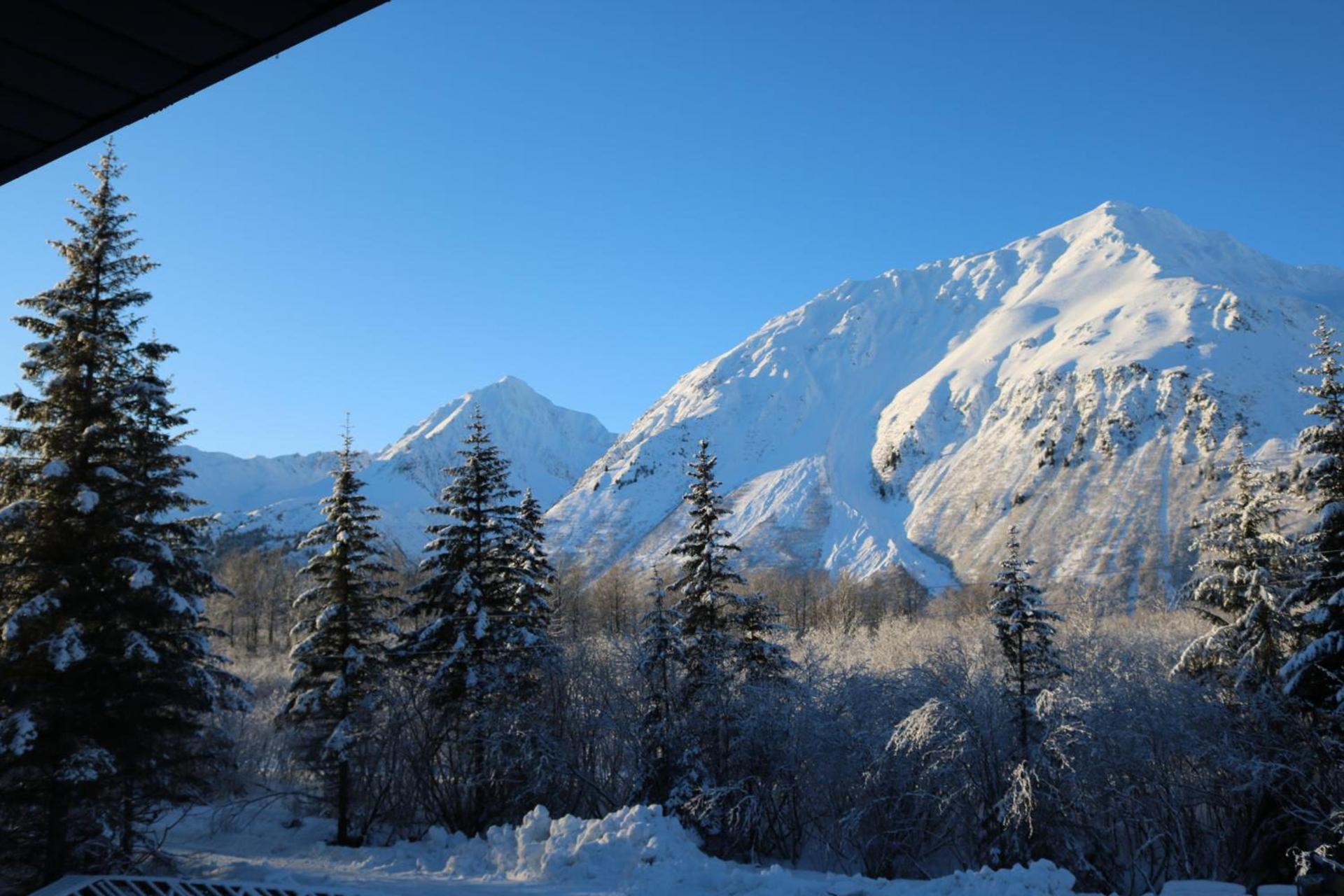 Spruce Lodge photo 15