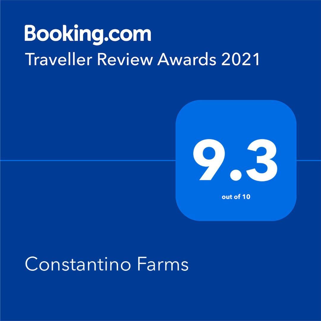 Constantino Farms photo 19