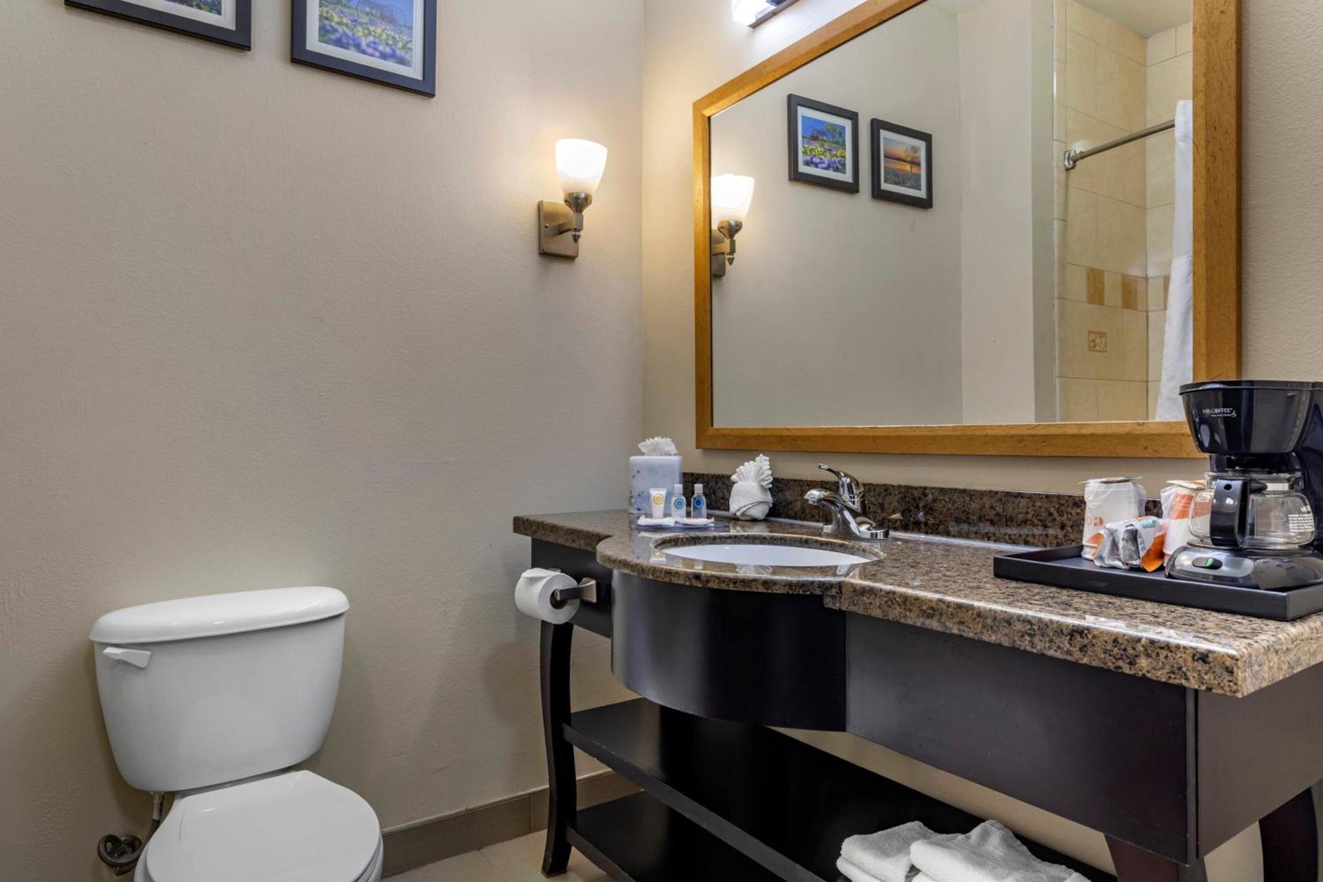 Comfort Inn & Suites Fort Worth West I-30 NAS JRB photo 23