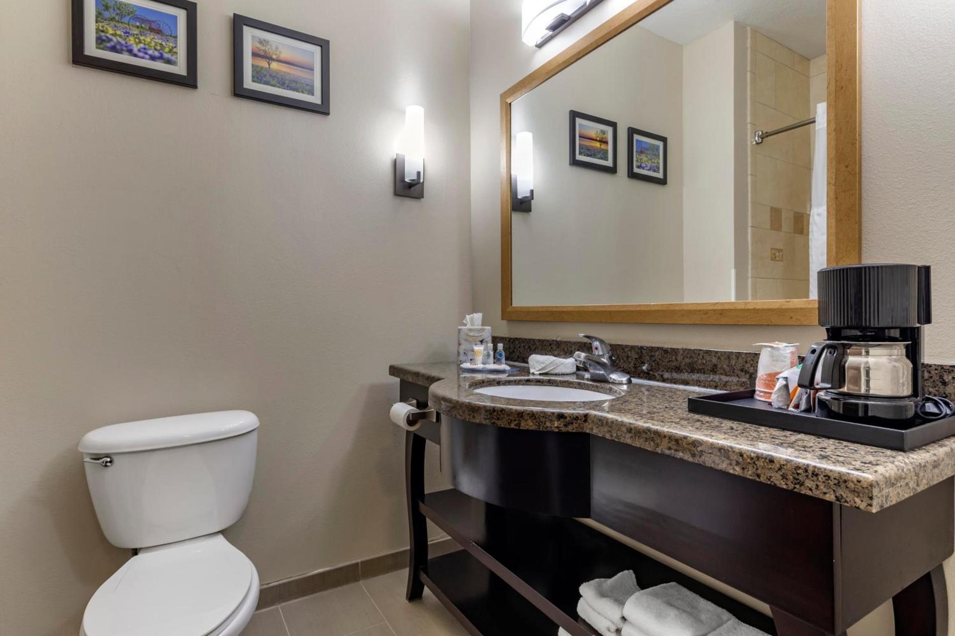 Comfort Inn & Suites Fort Worth West I-30 NAS JRB photo 30