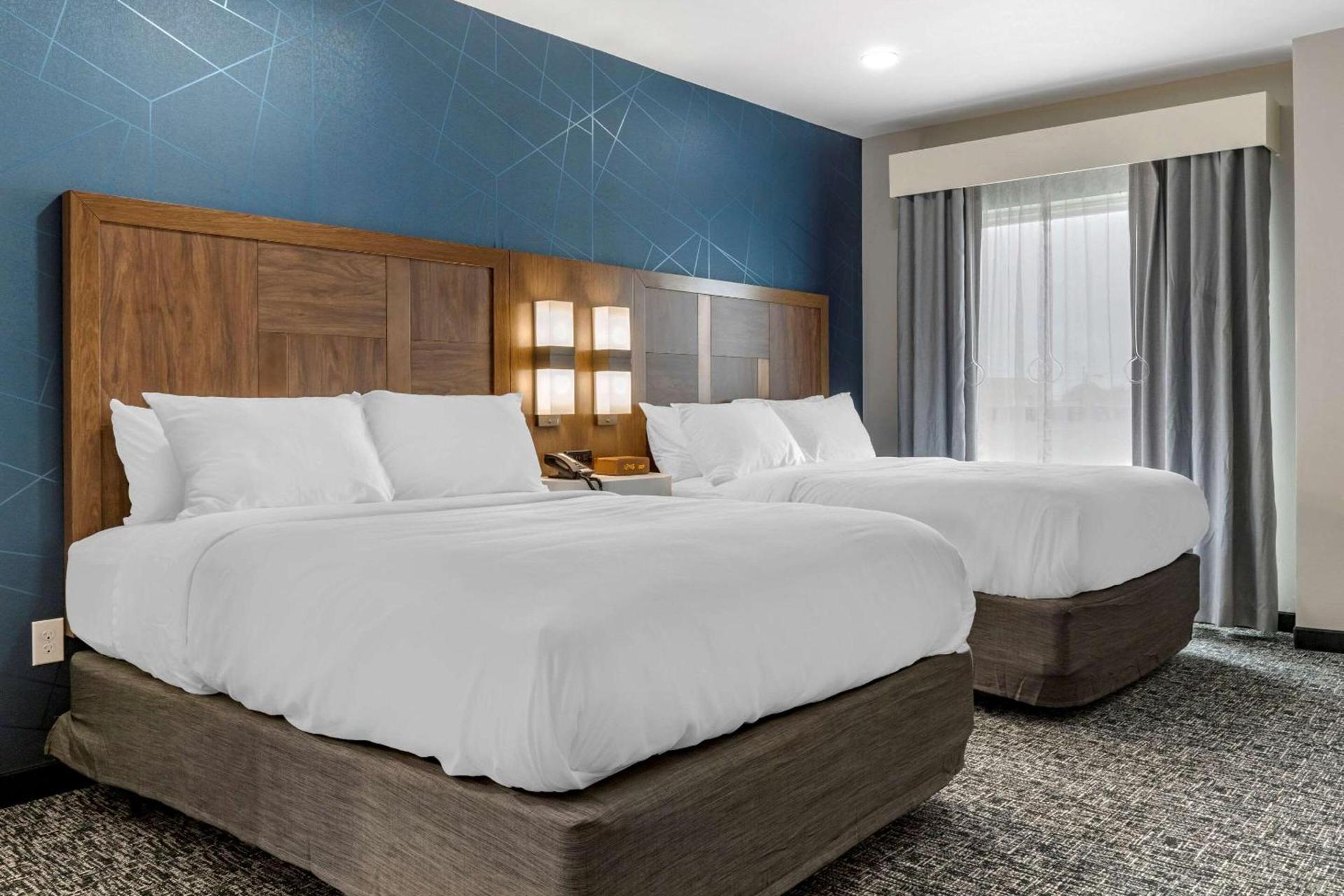 Comfort Suites Greenville Airport photo 9
