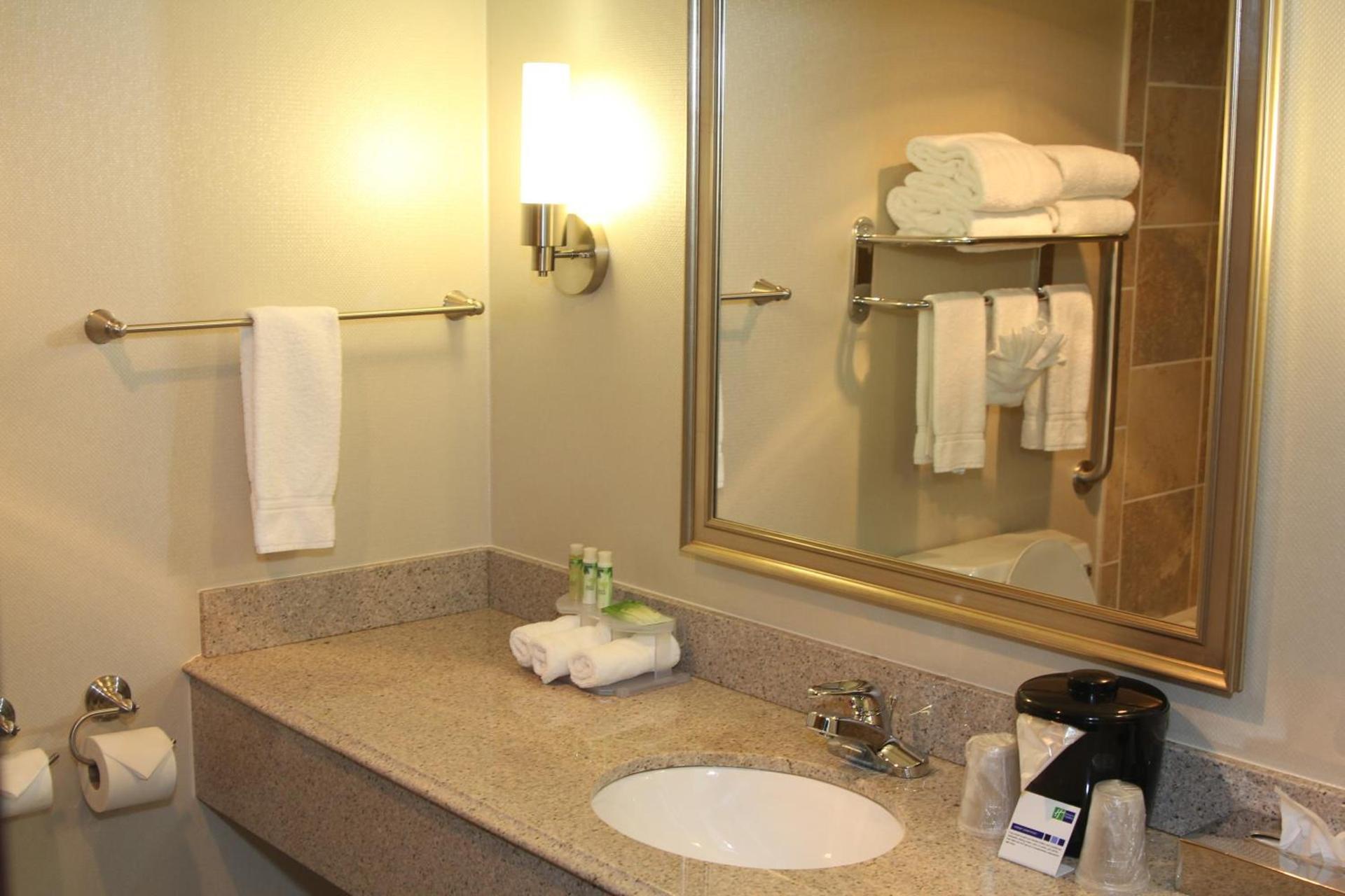Holiday Inn Express Hotel & Suites Indianapolis W - Airport Area by IHG photo 8