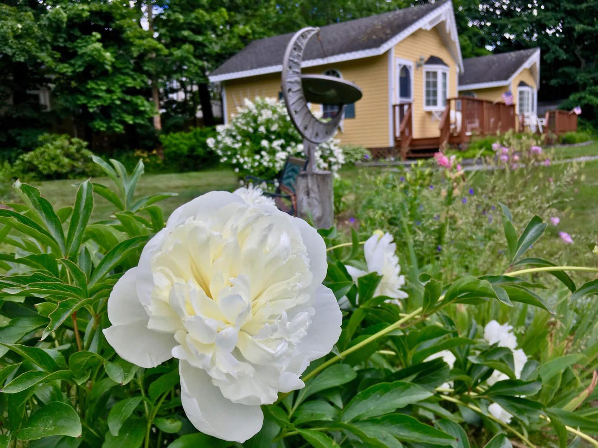 Sand Bar Cottage Inn photo 47