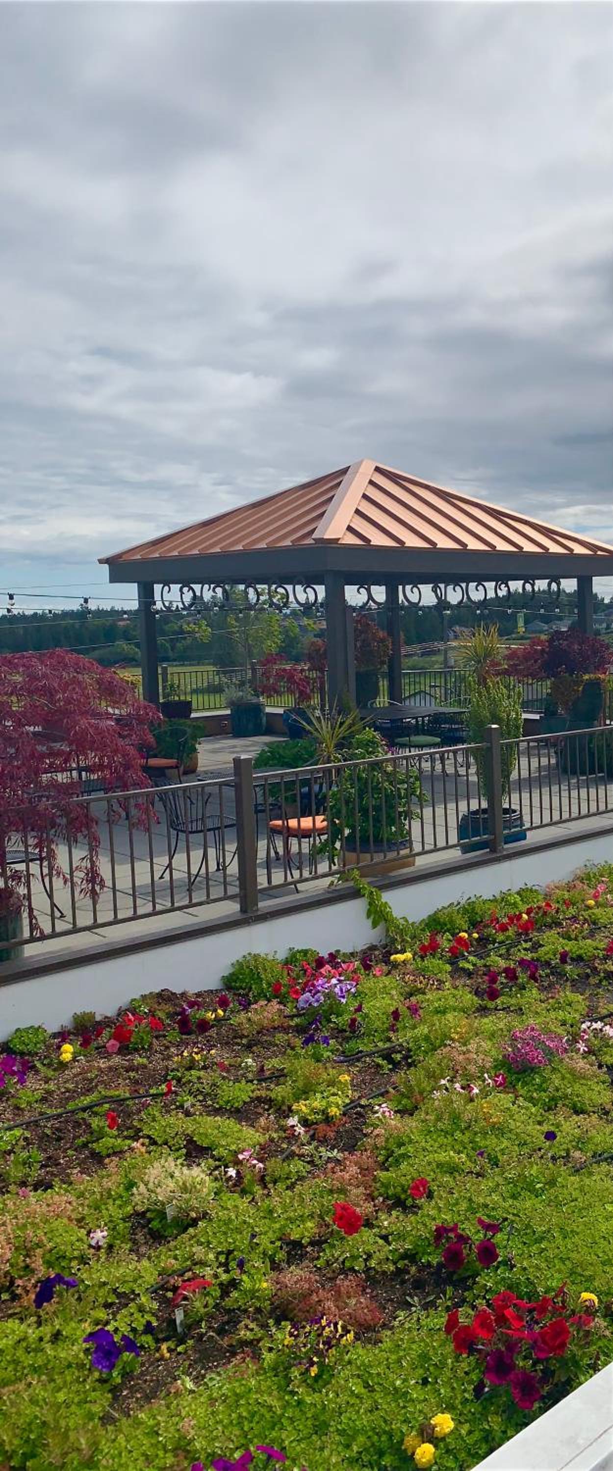 Holiday Inn Express Hotel & Suites North Sequim by IHG photo 9