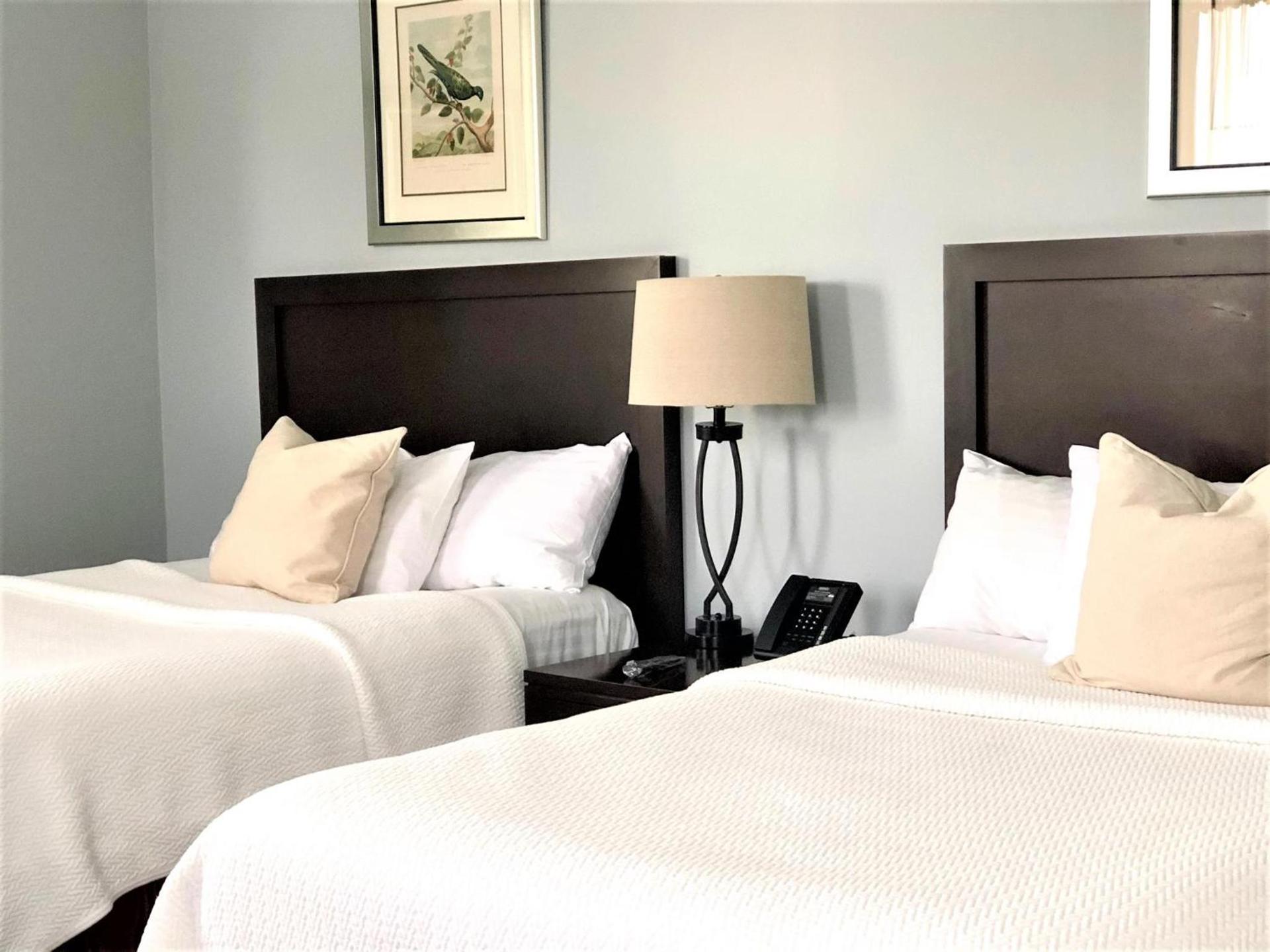 The Inn at Longshore photo 17