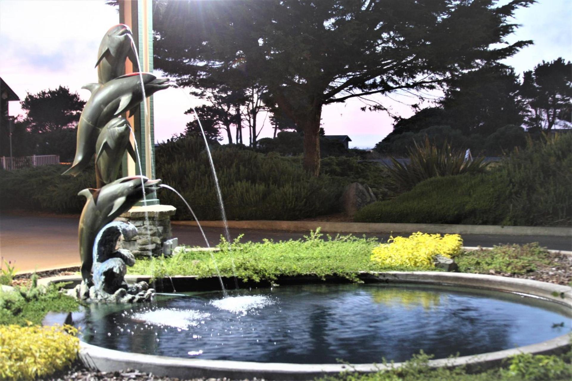 Emerald Dolphin Inn & Mini Golf photo 32