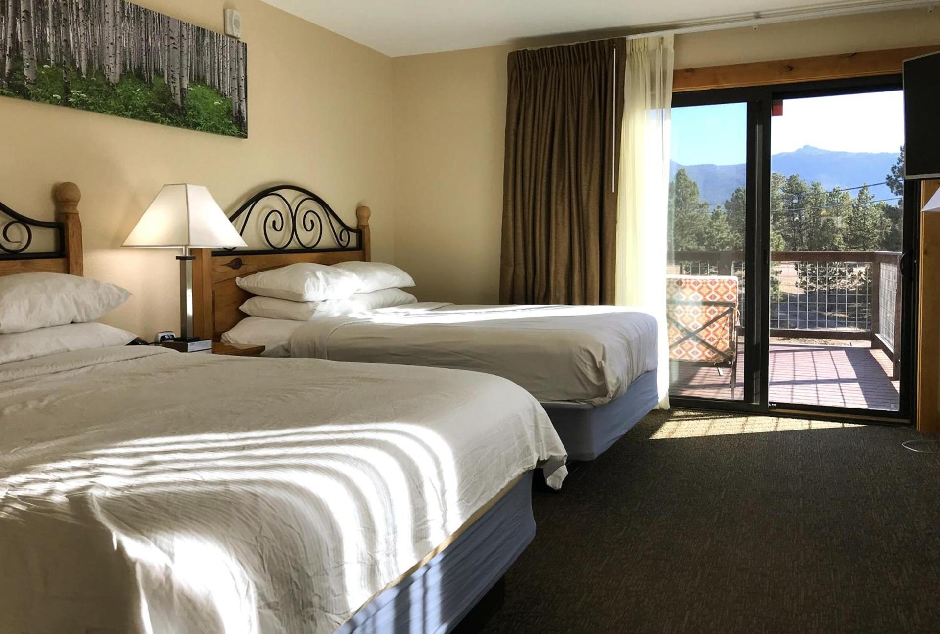 Coyote Mountain Lodge photo 99