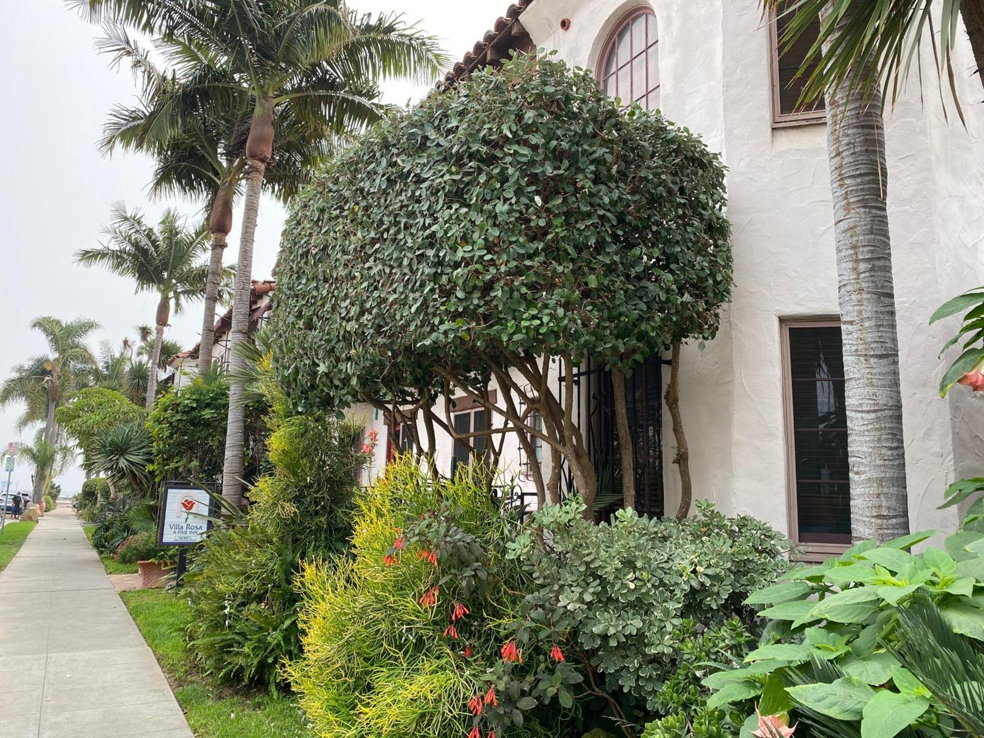 Villa Rosa Inn photo 8