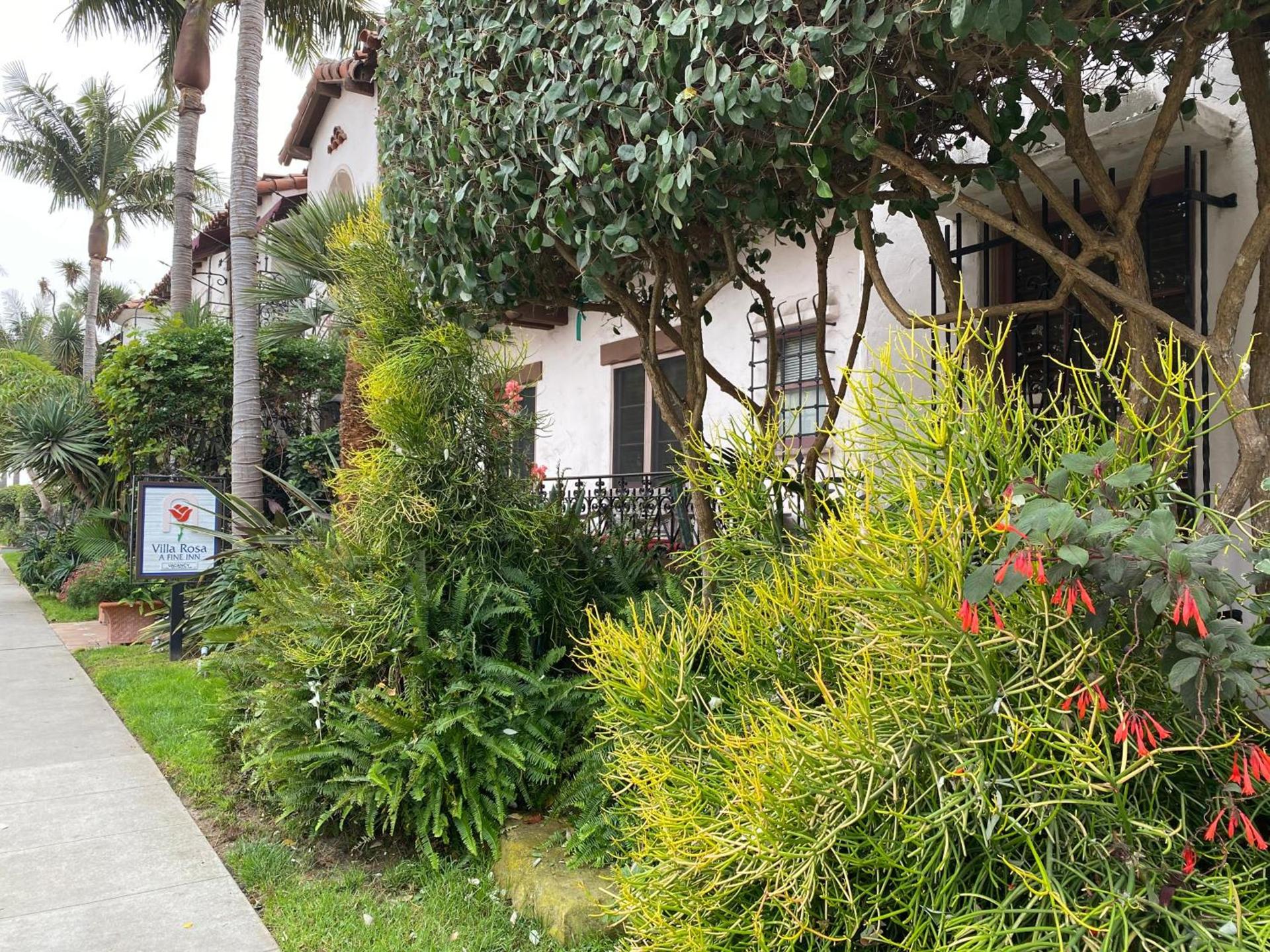 Villa Rosa Inn photo 6