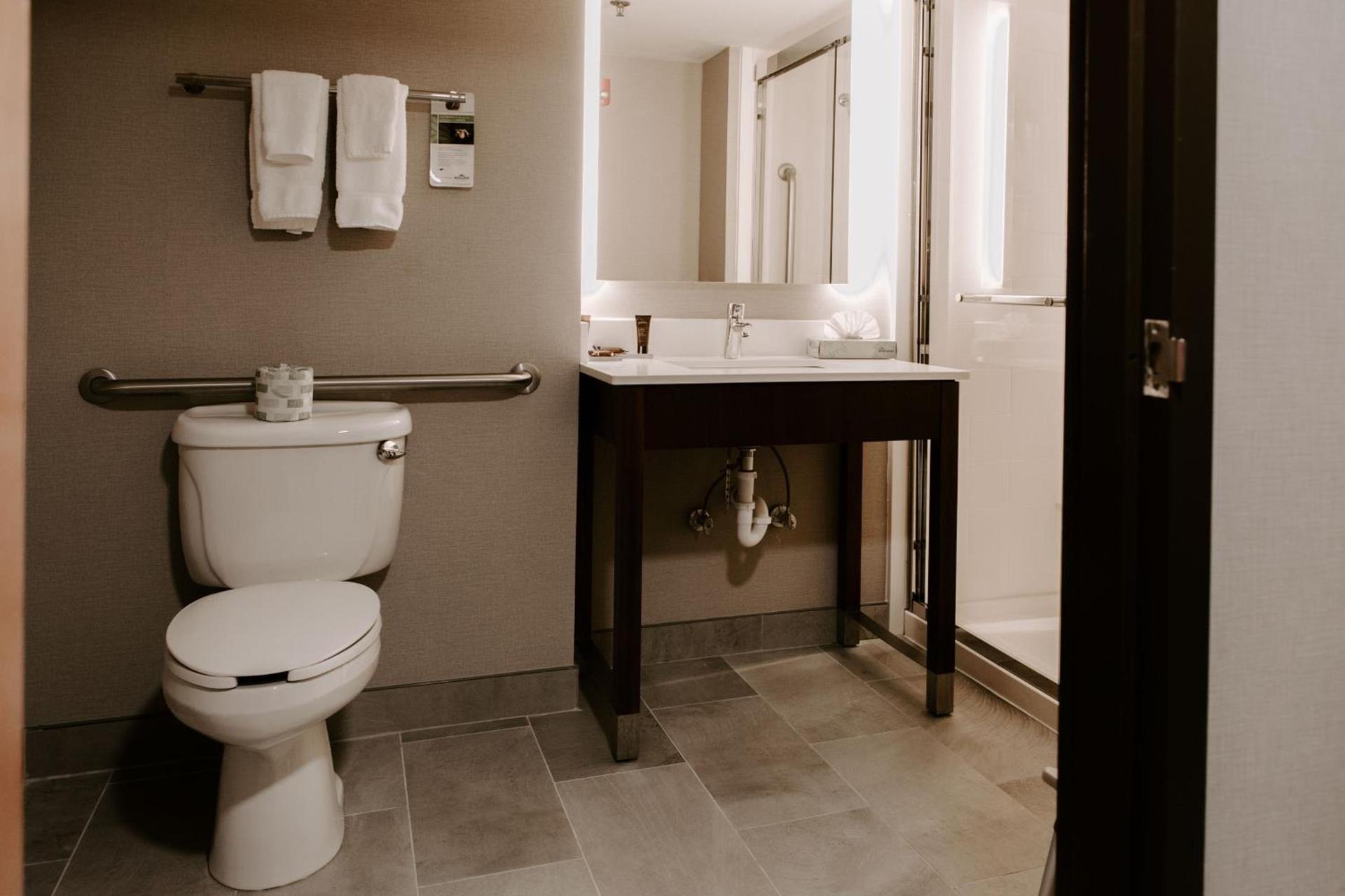 Wingate by Wyndham - Dulles International photo 22