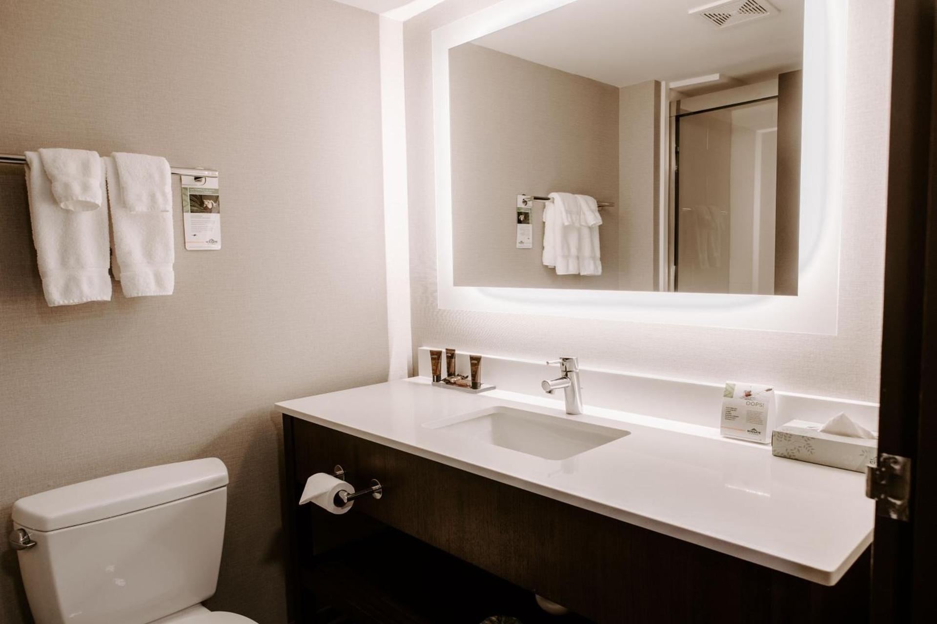 Wingate by Wyndham - Dulles International photo 28