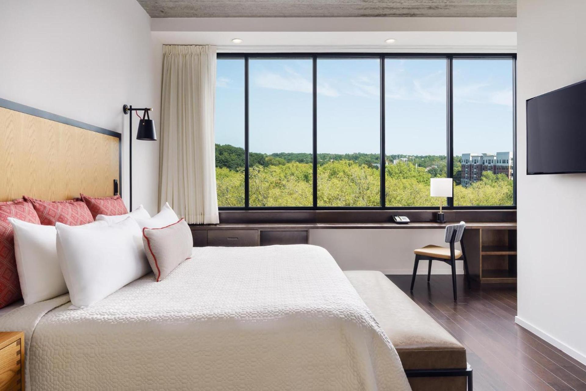 Hotel Indigo Athens - University Area by IHG photo 59