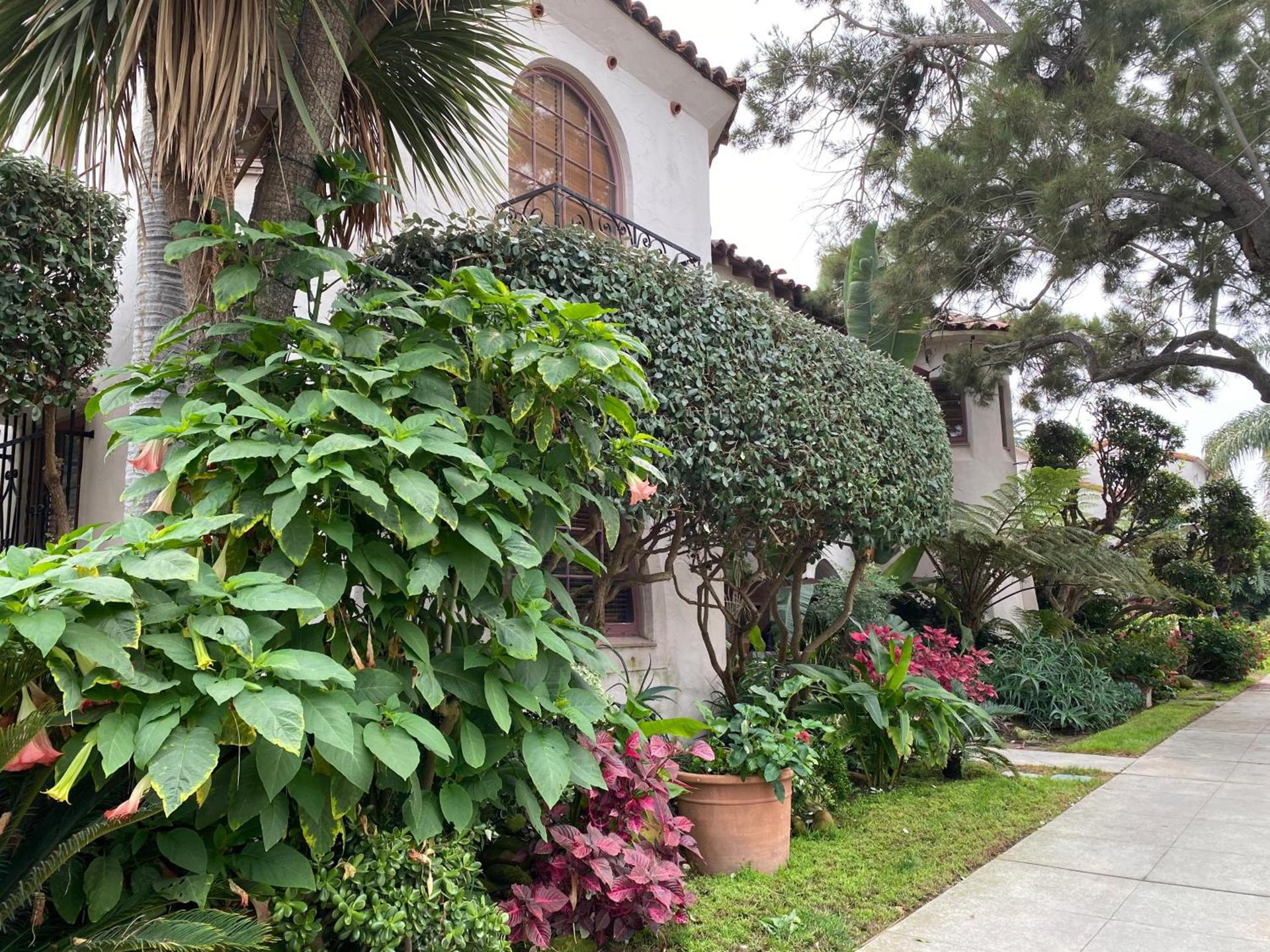 Villa Rosa Inn photo 1