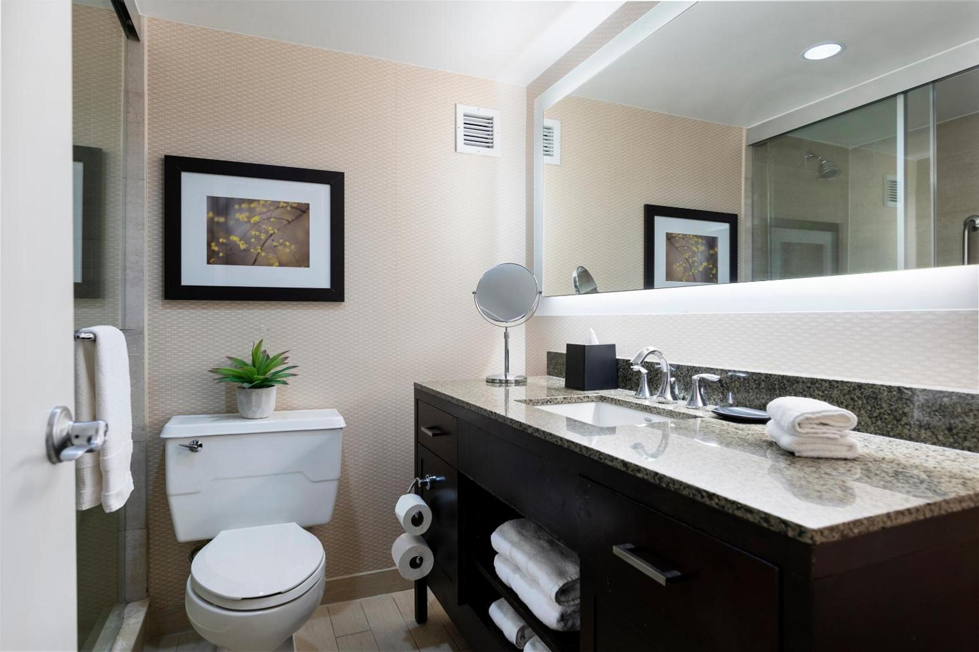 The Stamford Hotel photo 12