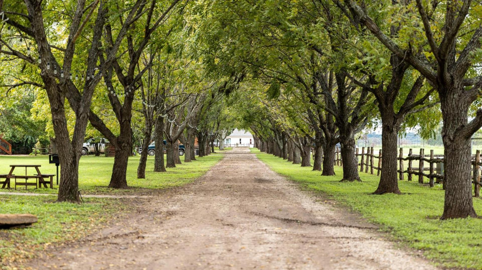 Moon River Ranch photo 78