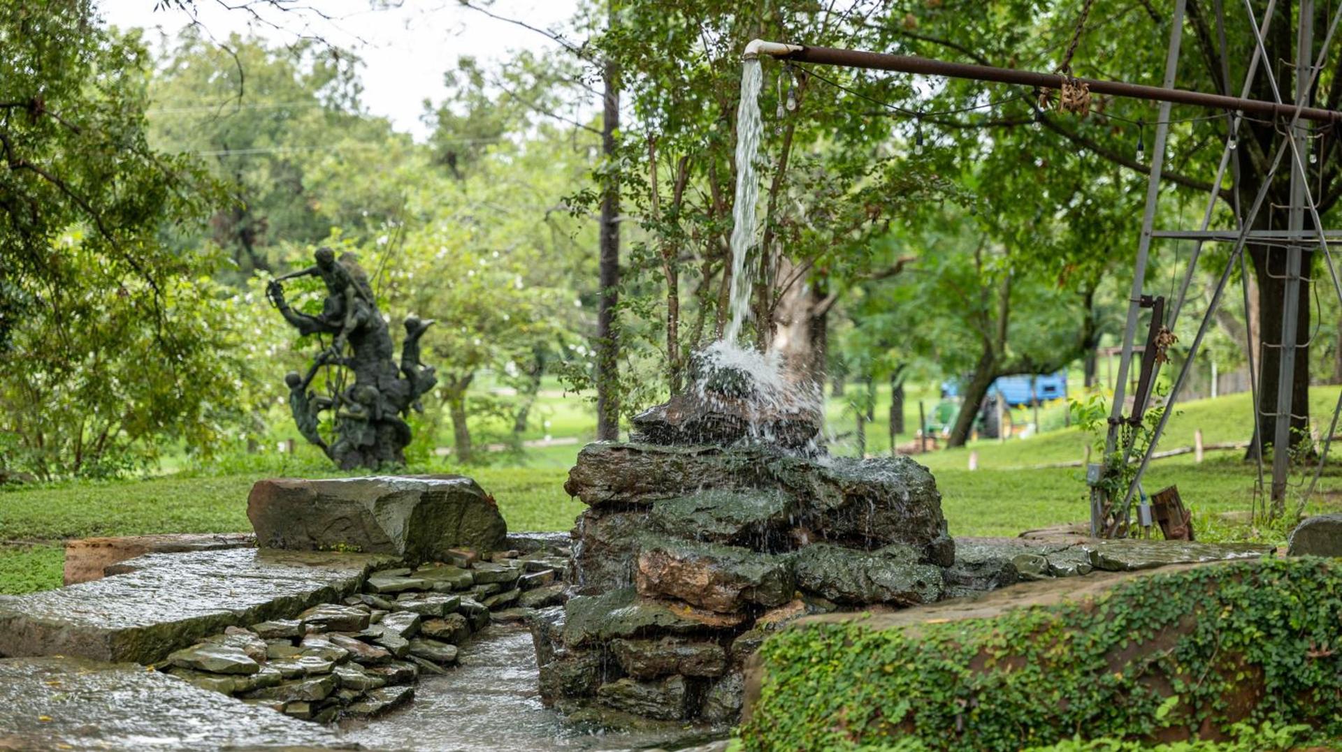 Moon River Ranch photo 83