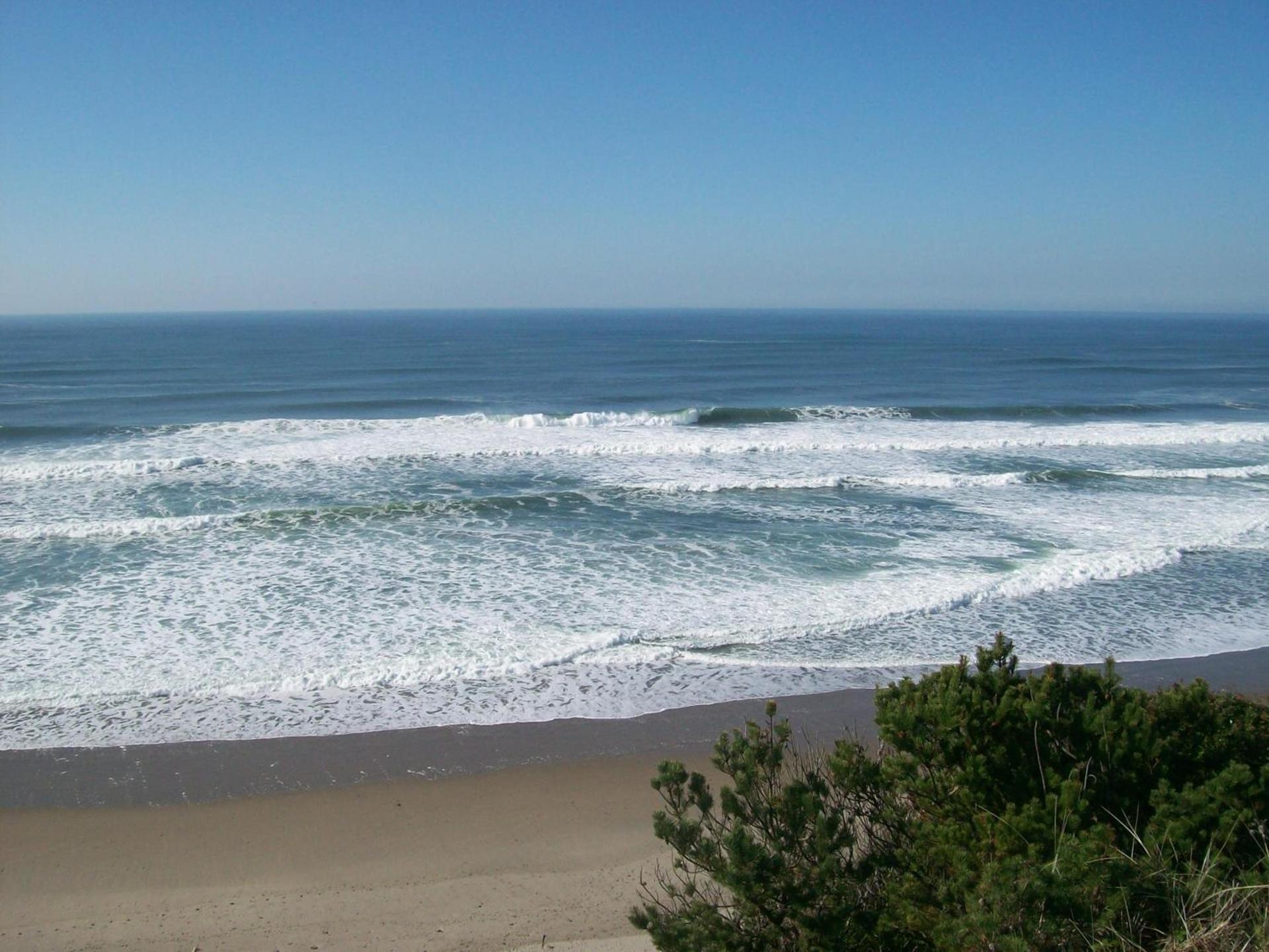 Seahorse Oceanfront Lodge photo 13